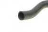 Патрубок радиатора, Renault Master - Opel Movano, 2.2-2.5 DCI/DTI, 1998>, (в сборе) AUTOTECHTEILE 508 0254 (фото 4)