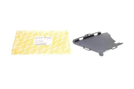 Накладка решітки бампера, права AUTOTECHTEILE 703 5178