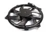 Вентилятор радіатора CITROEN BERLINGO/PEUGEOT PARTNER (96-) (AVA) AVA COOLING PE 7556 (фото 3)
