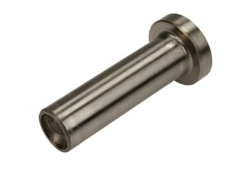 Штовхач клапану / MAN 128.0 R6/V10/12 D2840/D2866LF/(D2876 - ВЫПУСК) BF 20010228760