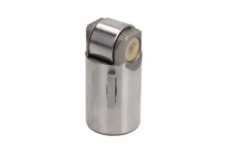 Штовхач клапана (., діаметр 25мм, висота 50мм) TCD2013 DEUTZ FAHR 5690 HTS, 6065 HTS, 6090, 6090 HTS, 6095 HTS, X 710, X 720 LAMBORGHINI R 8.230, R 8.270 SAME 230, 270 RVI 160.08, 160.09 BF 20 0105 10140