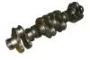 Колінчастий вал / MAN D2866 (БЕЗ ВКЛАДЫШЕЙ) 8 ПРОТИВОВЕСОВ ЛИТЫЕ BF 20050228661 (фото 1)