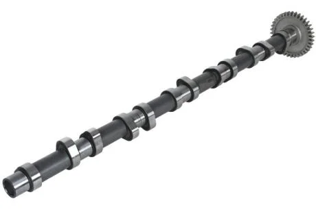 Розподільчий вал BF 20100220661