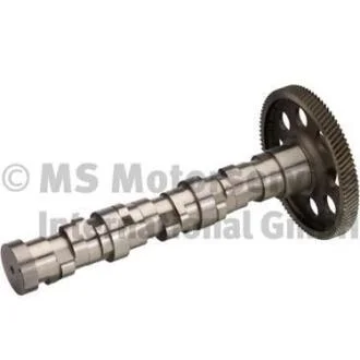 Вал розподільний BF 20 1003 54100