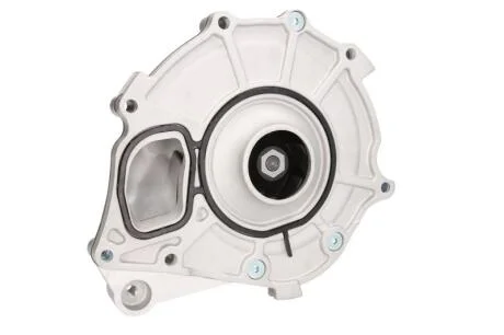 Водяна помпа BF 20 1607 13001