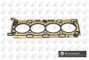 Прокладка головки Master/Movano 2.3dCi 10- BGA CH7528 (фото 1)