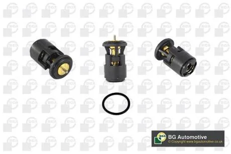 Термостат, охолоджувальна рідина BGA CT5240