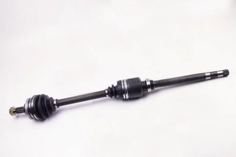 Піввісь BGA DS1418R