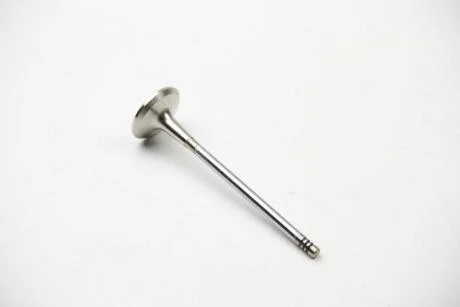 Клапан выпускной Doblo 1.4/Gr.Punto 1.4 8v BGA V165031