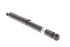 Амортизатор задн Лів/Прав FIAT FULLBACK MITSUBISHI L200, L200 / TRITON 2.2D/2.4D/2.5D 11.14- BILSTEIN 19-273198 (фото 1)