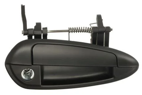 Зовнішня ручка дверей BLIC 6010-07-036402PP