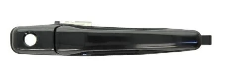 Ручка дверей BLIC 6010-15-038402P