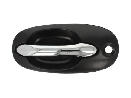 Ручка дверей BLIC 6010-53-012401P