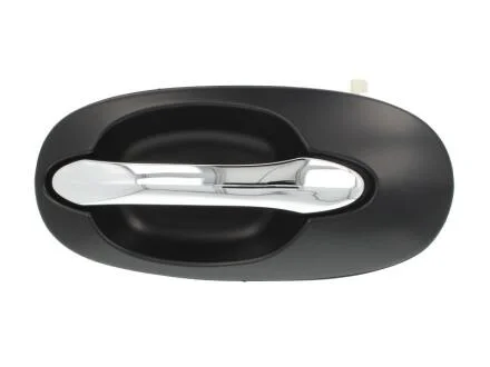 Ручка дверей BLIC 6010-53-012403P