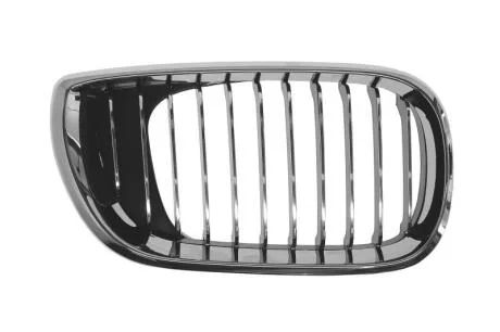 Решітка радіатора BLIC 6502-07-0061994AP