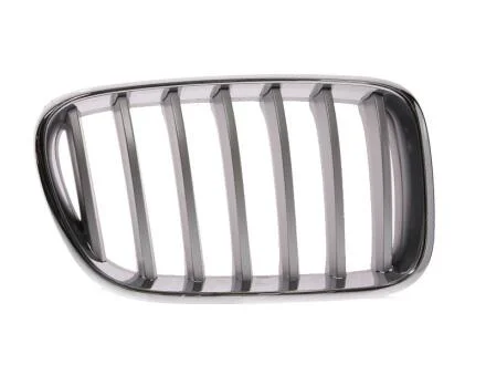 Решітка радіатора BLIC 6502-07-0093998P