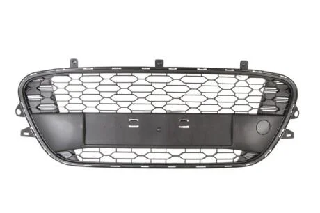 Решітка бампера передн (темно-сірий) CITROEN C3 II 11.09-03.13 BLIC 6502-07-0531910P