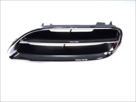 Решітка радіатора BLIC 6502-07-1608995P