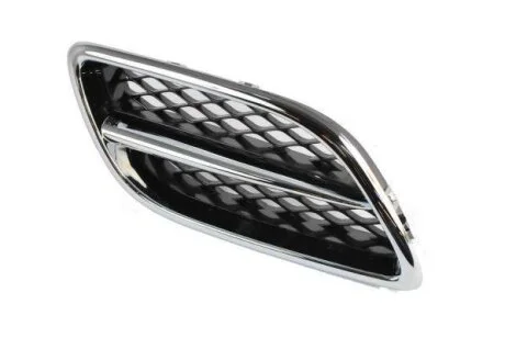 Решітка радіатора BLIC 6502-07-1668996P