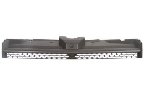 Решітка радіатора BLIC 6502-07-2507990P