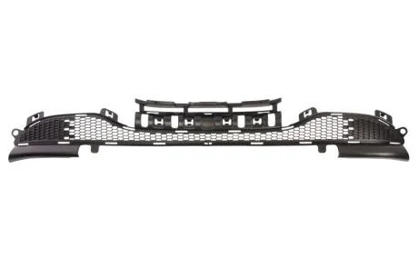 Елементи капота BLIC 6502-07-5509996P