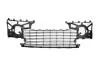 Решетка в бампер центральная 307 09/05-> BLIC 6502-07-5514996P (фото 1)