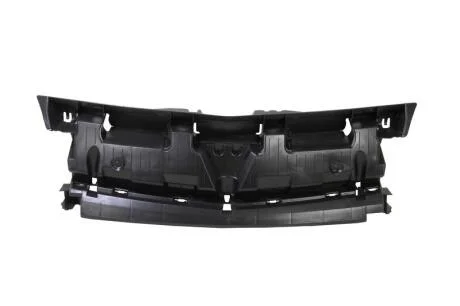 Решітка радіатора BLIC 6502-07-6011210P