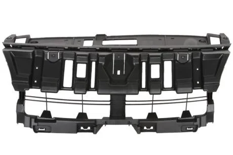 Решітка радіатора BLIC 6502-07-6046992P