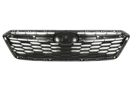 Решітка радіатора BLIC 6502-07-6747990P