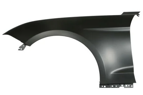 Крило переднє BLIC 6504-04-2589313P