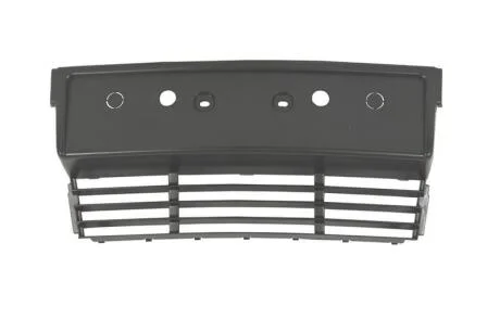 Элементы бампера BLIC 6509-01-0057920P