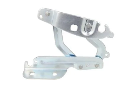 Елементи капоту BLIC 6802-00-2565451P