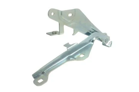 Елементи капоту BLIC 6802-00-2586451P