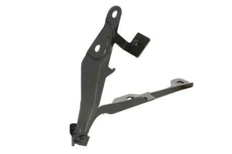 Елементи капоту BLIC 6802-00-2589451P