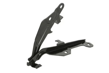 Елементи капоту BLIC 6802-00-2589452P