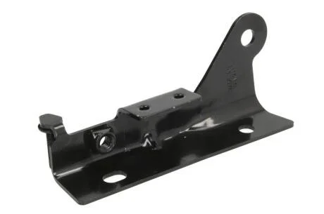 Елементи капоту BLIC 6802-00-3206453P