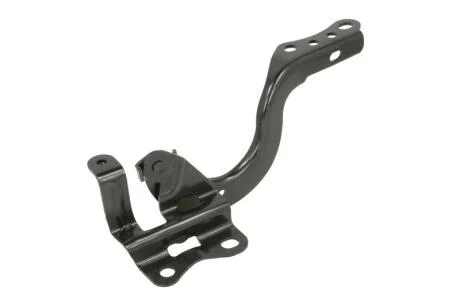 Елемент капота BLIC 6802-00-8119452P