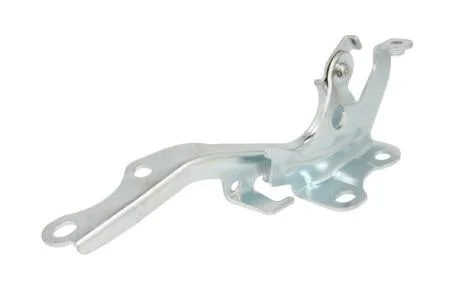 Елементи капота BLIC 6802-00-8192451P