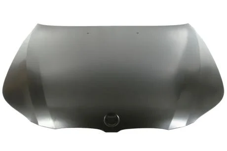 Кришка двигуна BLIC 6803-00-0066281Q