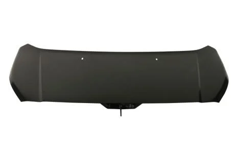 Кришка двигуна BLIC 6803-00-2508280Q