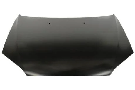 Капот BLIC 6803-00-2555280P