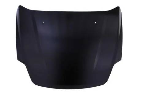 Капот BLIC 6803-00-2556281P