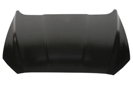 Кришка двигуна BLIC 6803-00-2558280Q