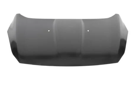 Капот BLIC 6803-00-2579280P