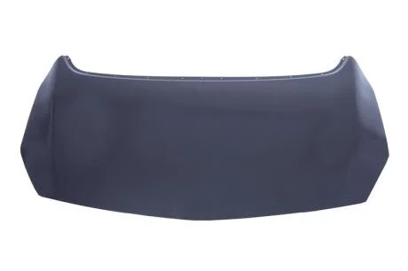 Кришка двигуна BLIC 6803-00-5053280Q