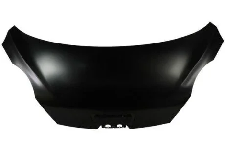 Кришка двигуна BLIC 6803-00-5501281P