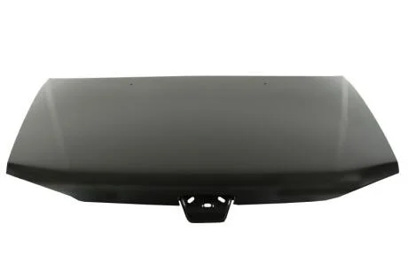 Капот BLIC 6803-00-5513281P