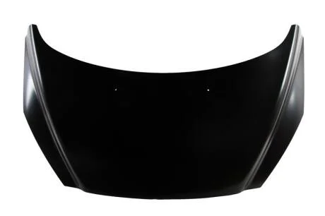 Капот BLIC 6803-00-5519280P