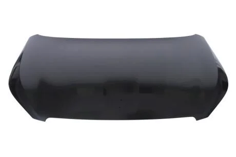 Кришка двигуна BLIC 6803-00-5519281P