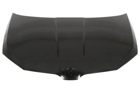 Кришка двигуна BLIC 6803-00-7517280P